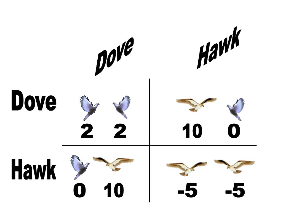 hawks and doves meaning